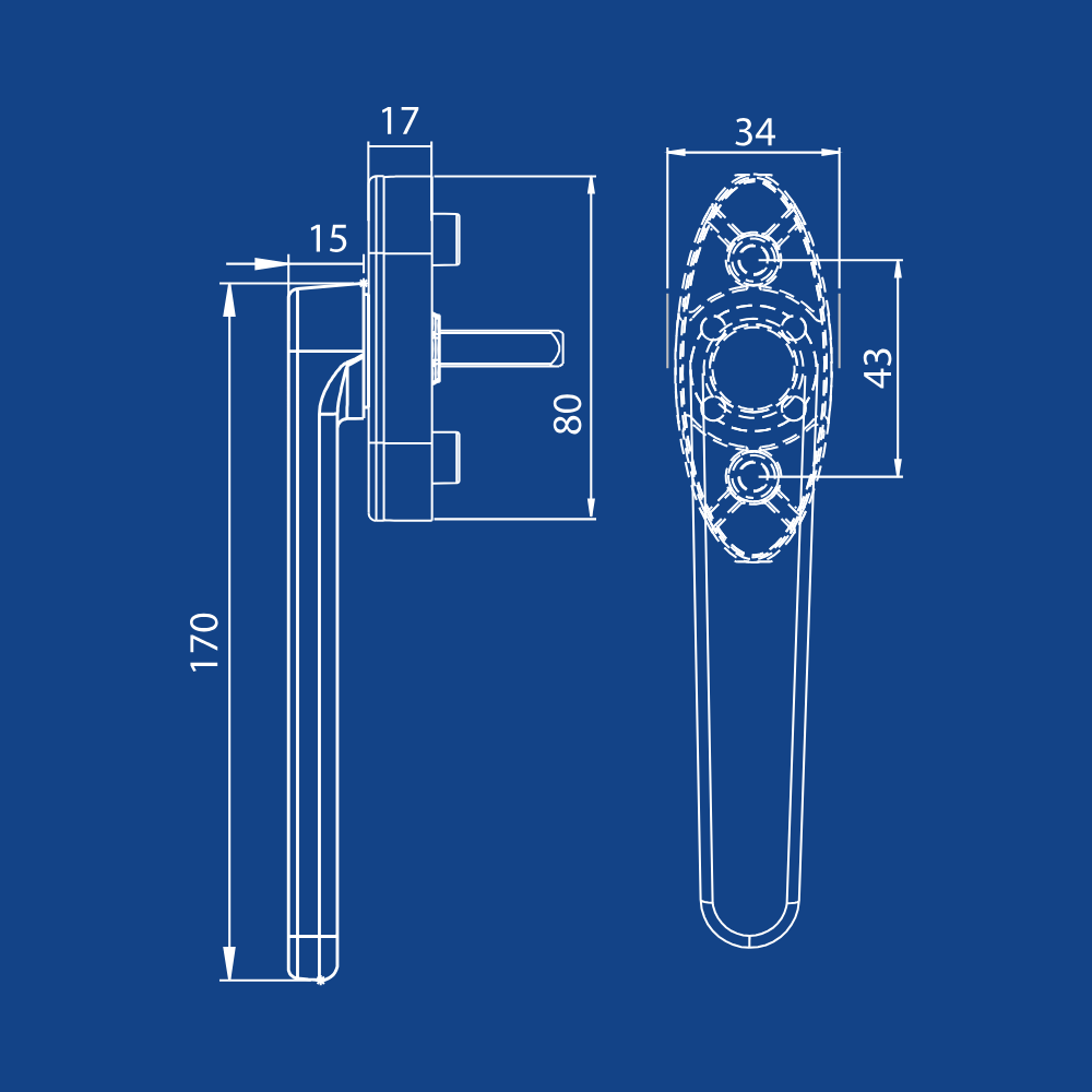 Jumbo Tokyo Flat Akustik